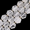 Natural Quartz Crystal Beads Strands G-N368-01A-18-2