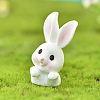 Resin Standing Rabbit Statue FIND-SZC0011-173-1