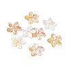 Natural Sea Shell Beads BSHE-L043-20-1