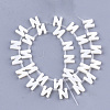 Freshwater Shell Beads X-SHEL-T012-59N-2