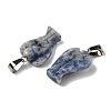 Natural Blue Spot Jasper Pendants G-B127-10P-02-2