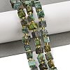 Natural African Turquoise(Jasper) Beads Strands G-G053-B19-05-2