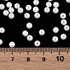 Glass Seed Beads SEED-T007-01B-5