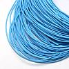 Spray Painted Cowhide Leather Cords WL-R001-2.0mm-25-2