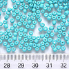 8/0 Baking Paint Glass Round Seed Beads SEED-S036-01B-13-3