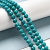 Natural Howlite Beads Strands G-B049-E01-01A-2