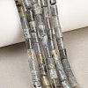 Natural Labradorite Beads Strands G-F832-B10-01-1