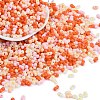 Glass Seed Beads X1-SEED-K010-03N-1