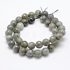 Natural Labradorite Beads Strands G-P322-28-10mm-2