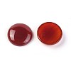 Natural Carnelian Cabochons G-F608-04C-01-2