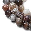 Natural Botswana Agate Beads Strands G-H334-A01-02-4