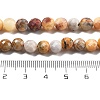 Natural Crazy Agate Beads Strands G-C179-A22-02-5