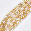 Yellow Shell Beads Strands SHEL-S274-93B-1