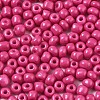 6/0 Glass Seed Beads SEED-S058-A-F421-3