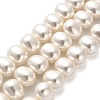 Shell Pearl Beads Strands BSHE-F013-01A-1