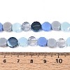 Electroplate Glass Beads Strands EGLA-N022-03A-A04-4