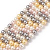 Shell Pearl Bead Strands LS-BSHE-L017-17-3