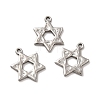 Non-Tarnish 304 Stainless Steel Pendants STAS-Q001-02P-2