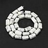 Natural Howlite Beads Strands G-O170-150-2