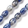 Natural Blue Spot Jasper Beads Strands G-B106-B29-01-1