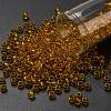 TOHO 6/0 Round Beads SEED-TR06-2155-1