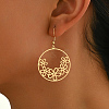 Elegant Iron Dangle Earrings CU1460-2-2