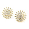 Flower Clear Cubic Zirconia Stud Earrings EJEW-A026-09G-1