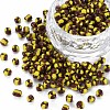 6/0 Glass Seed Beads SEED-S007-6-1