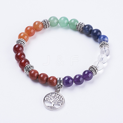 Natural Gemstone Stretch Bracelets BJEW-F308-21AS-1