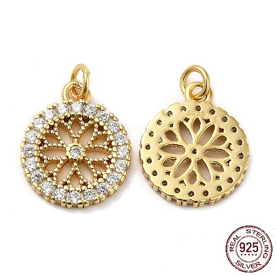 925 Sterling Silver Micro Pave Cubic Zirconia Charms STER-I010-10G-1
