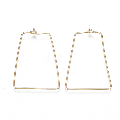 Brass Earring Hooks KK-T038-425G-1