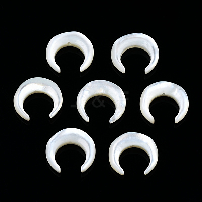 Natural White Shell Beads SSHEL-N034-122B-03-1