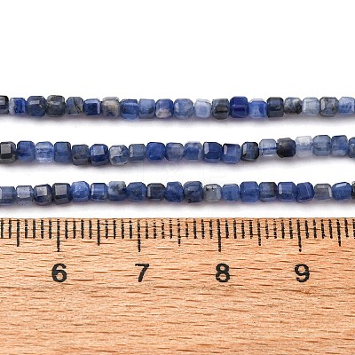 Natural Sodalite Beads Strands G-B142-C02-2x2mm-1