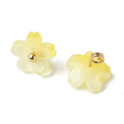 Alloy Acrylic Pendants TACR-P016-01G-11-1