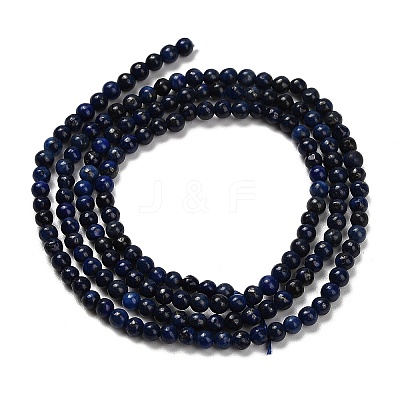Dyed Natural Lapis Lazuli Beads Strands G-H317-A01-1
