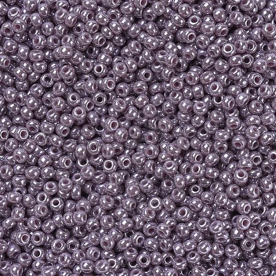 MIYUKI Round Rocailles Beads X-SEED-G007-RR0437-1