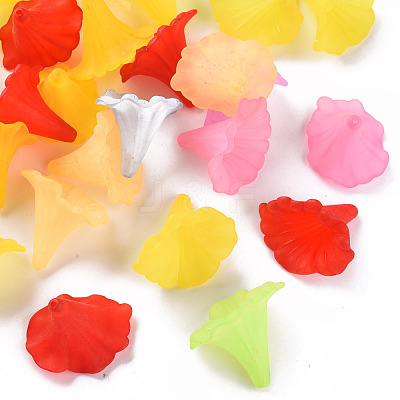 Transparent Acrylic Beads BSF796M-1