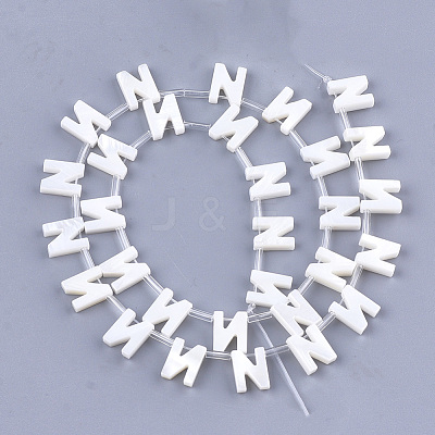 Freshwater Shell Beads X-SHEL-T012-59N-1