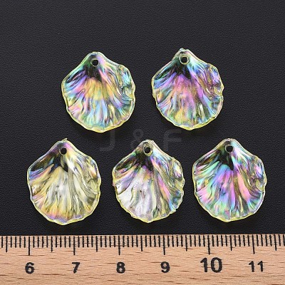 Transparent Acrylic Pendants MACR-S373-73-C03-1