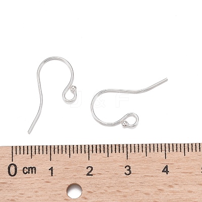 925 Sterling Silver Earring Hooks X-STER-K167-051C-S-1