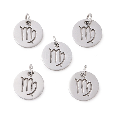 Non-Tarnish 304 Stainless Steel Charms STAS-Q201-T445-6S-1