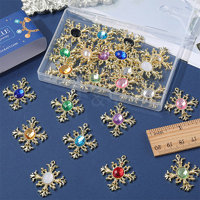 24Pcs 12 Colors Acrylic Pendants FIND-SC0005-63-1