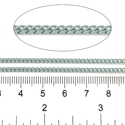 Spray Painted 304 Stainless Steel Curb Chains STAS-B067-05A-01-1