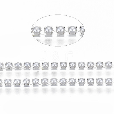 Brass Claw Chains CHC-Q012-SS6.5-01S-1