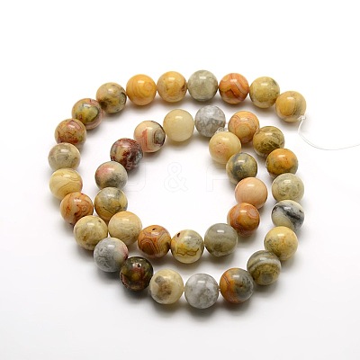 Round Natural Crazy Lace Agate Beads Strands G-P058D-01-1