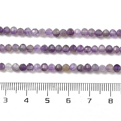 Natural Amethyst Beads Strands G-G189-A01-01-1