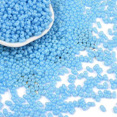 Baking Paint Glass Seed Beads SEED-L011-09A-06-1