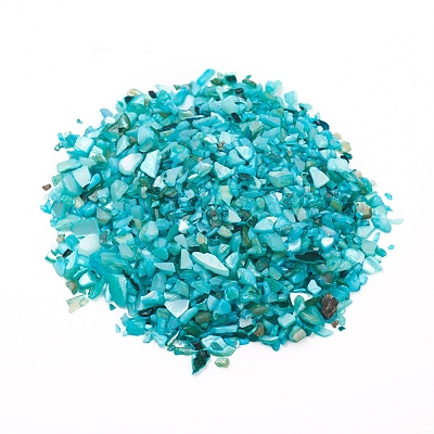 Natural Freshwater Shell Beads BSHE-I011-03B-1