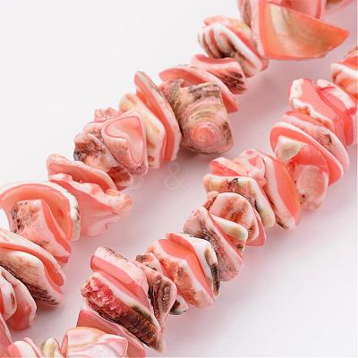 Natural Shell Bead Strands BSHE-P010-03-1