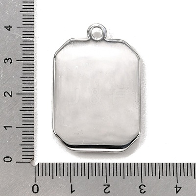 304 Stainless Steel & Natural Paua Shell Pendants SH-CBA7184-01C-P-1